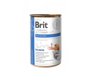 Brit GF Veterinary Diets konservai šunims ir katėms Recovery 6 x 400g
